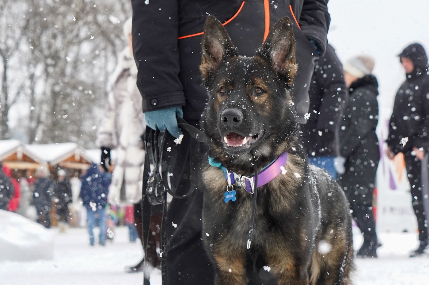 Масштабные мероприятия прошли в Вологде в День защитника Отечества