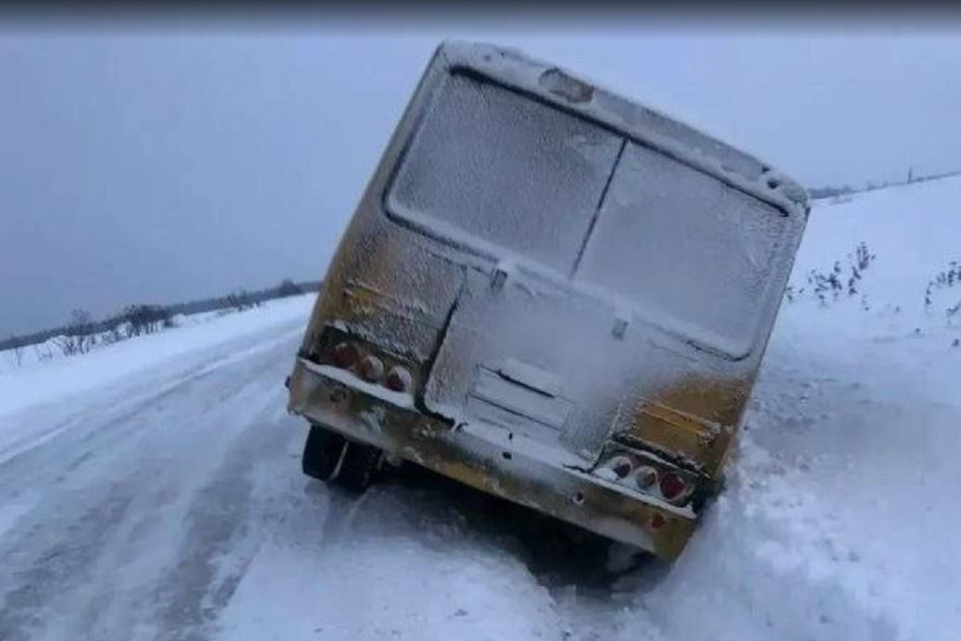 Школьный автобус съехал в кювет под Вологдой