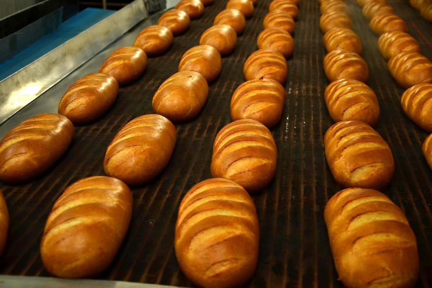 Вологодские антимонопольщики озаботились ценами на хлеб
