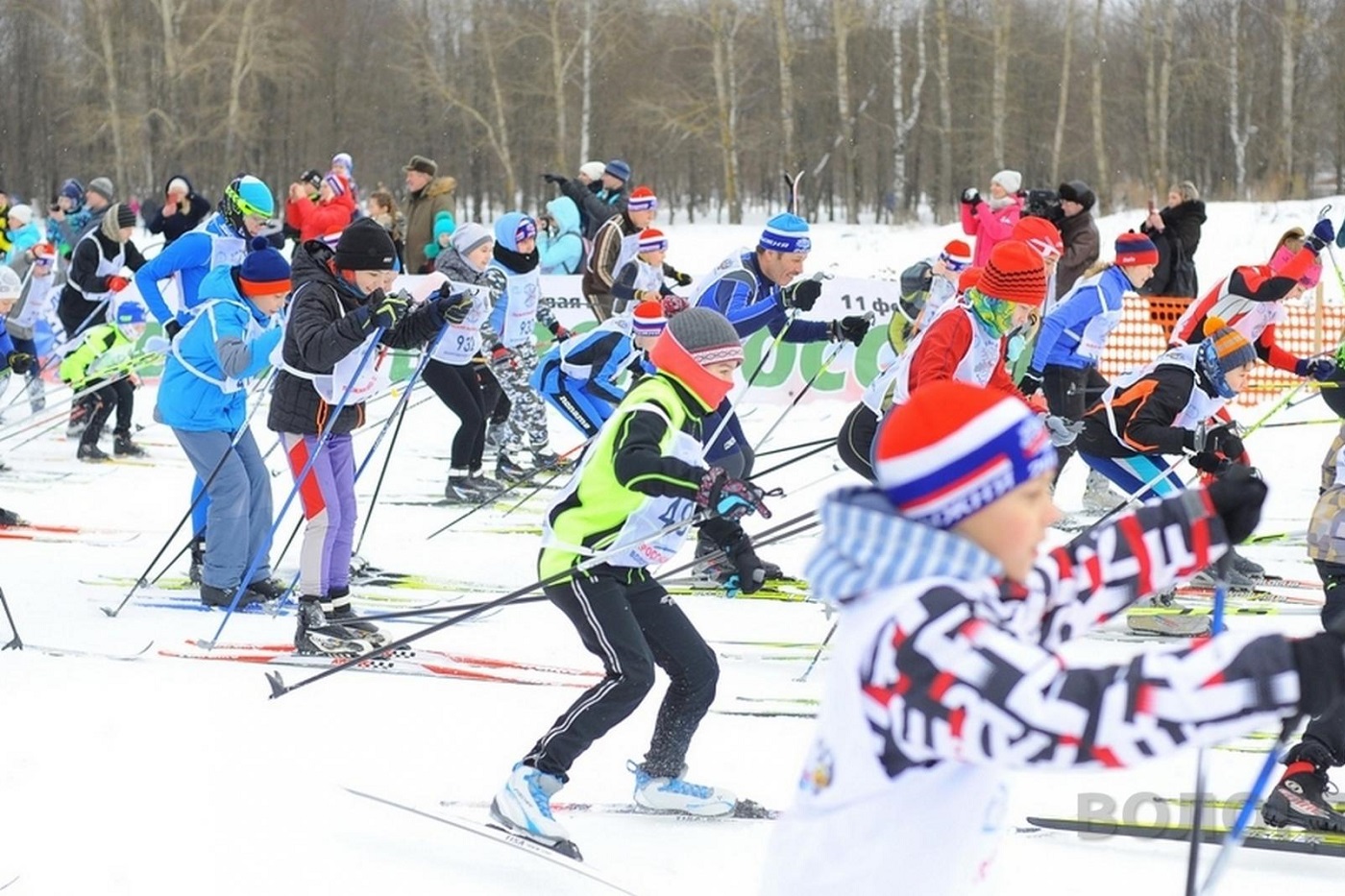 Вологда готовится к массовым лыжным стартам