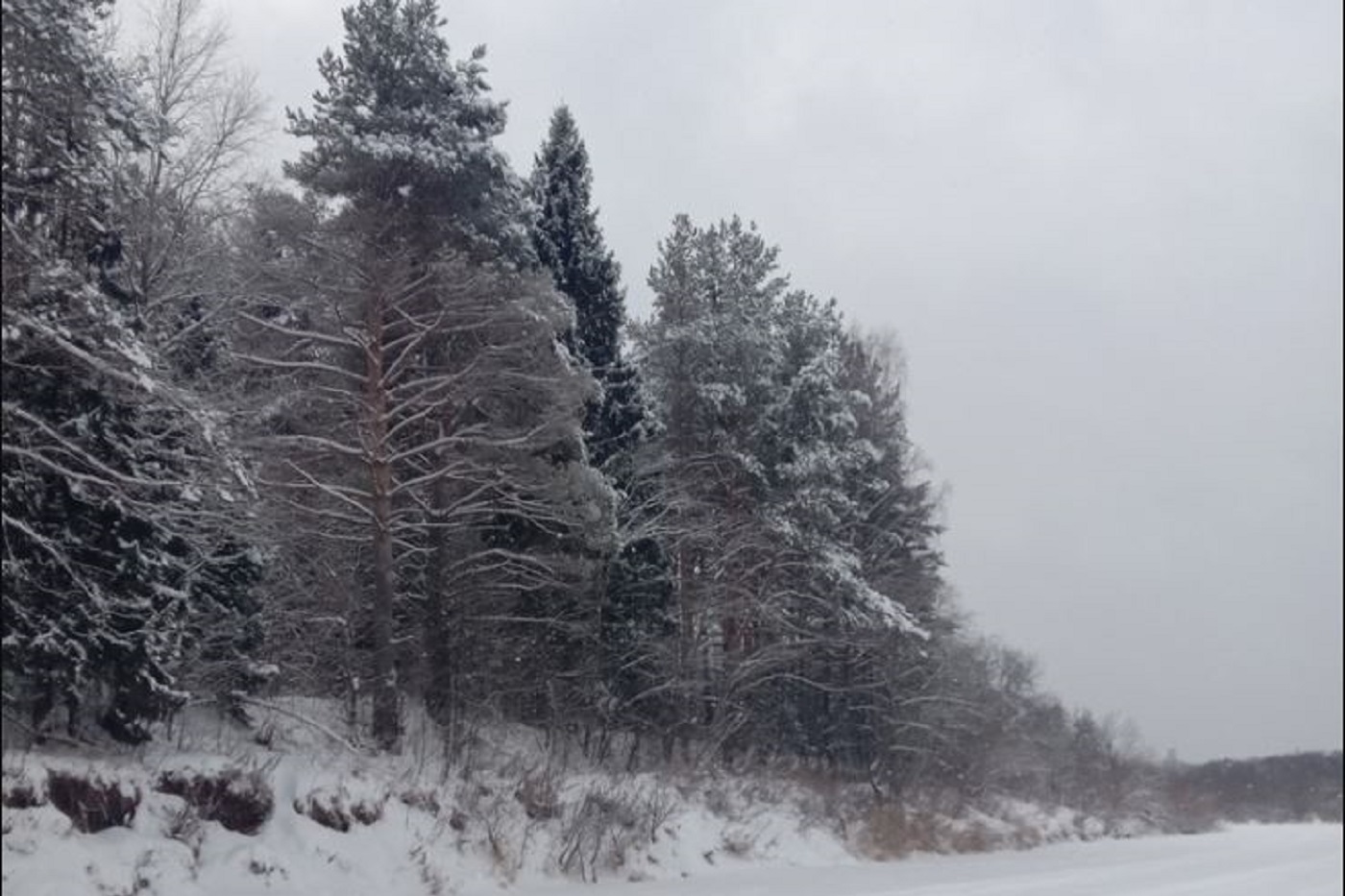 Сильный снегопад и морозы обещают в ближайшее время вологодские синоптики