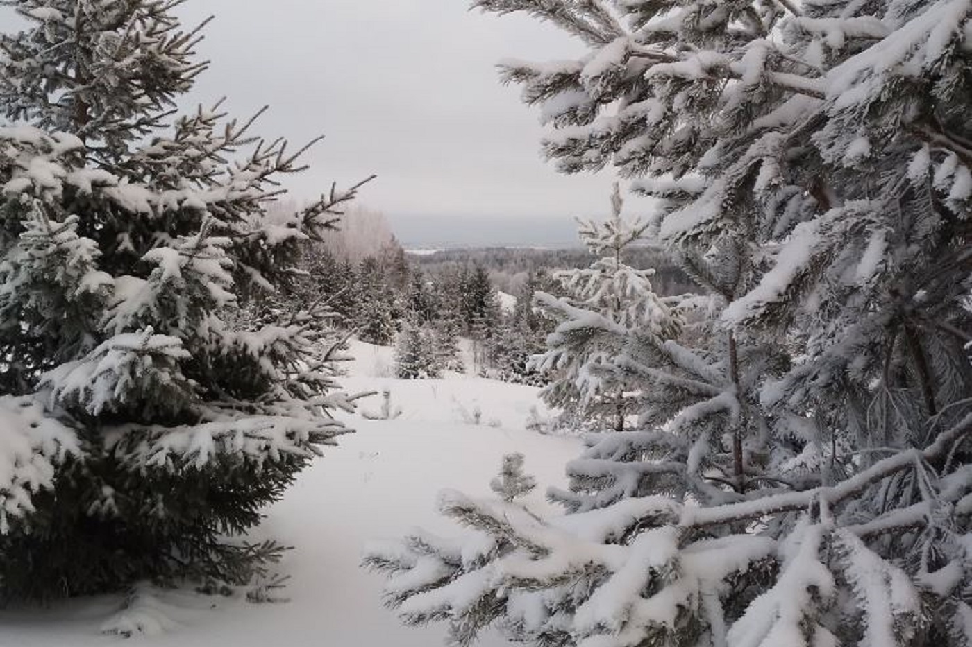 Погода берет курс на потепление