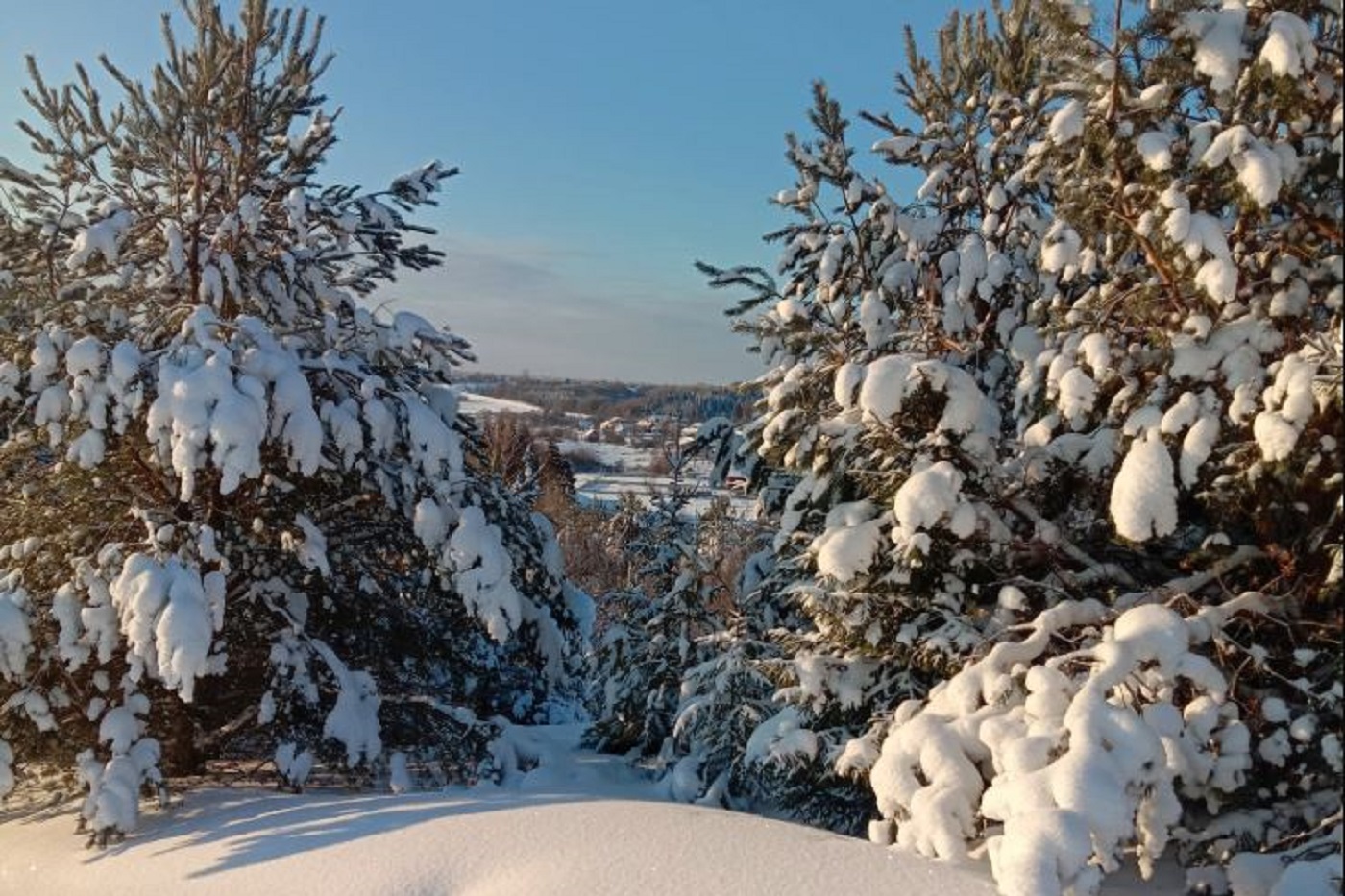 Синоптики сообщают об очередном снегопаде