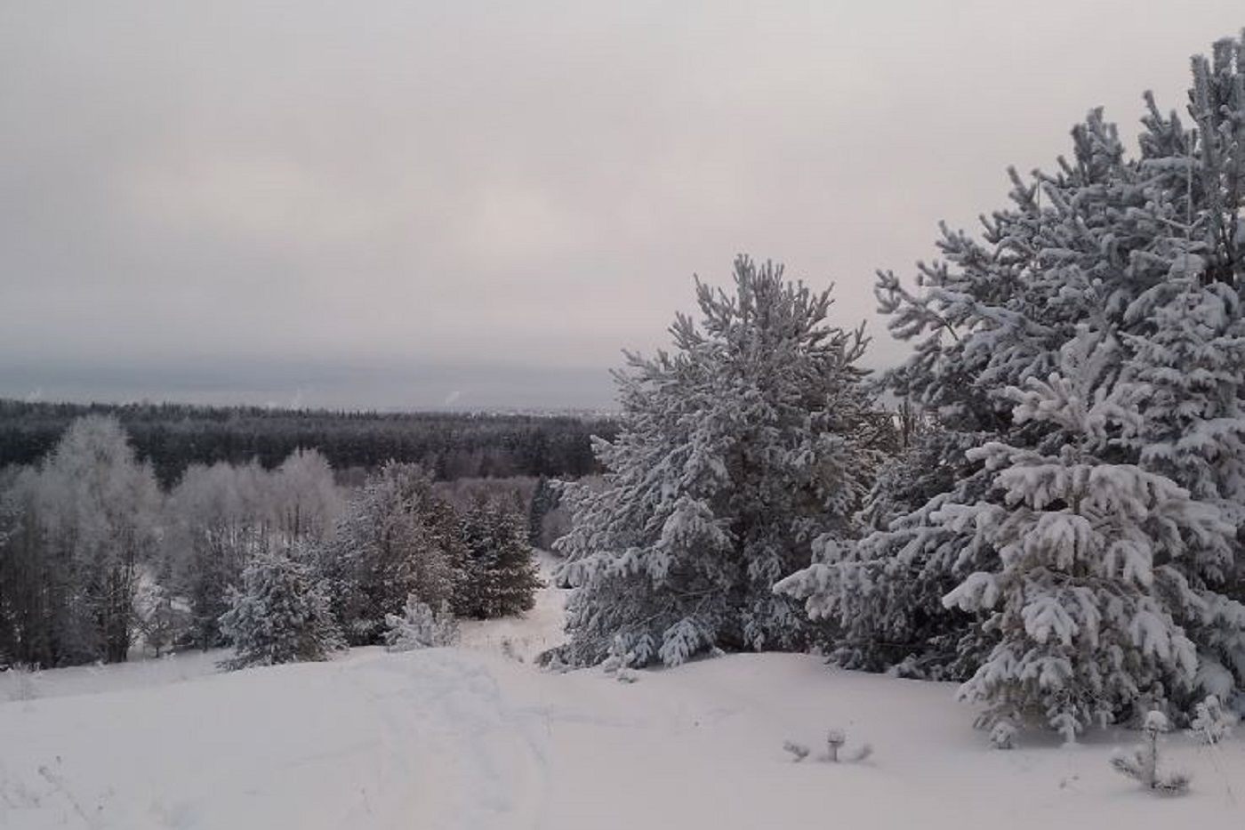 Вологодские синоптики рассказали о погоде на предстоящую неделю