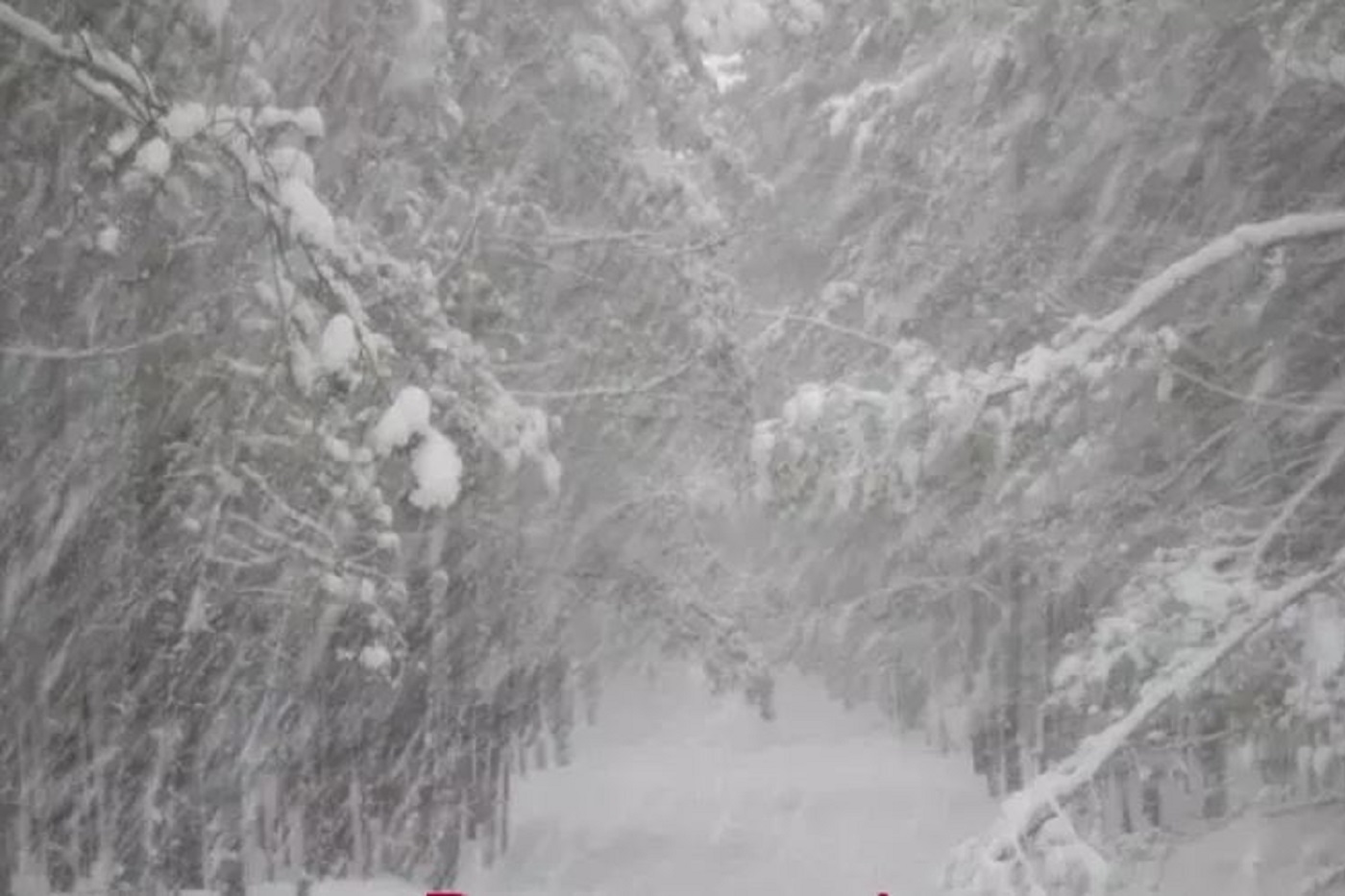 После оттепели на Вологодчину придет похолодание