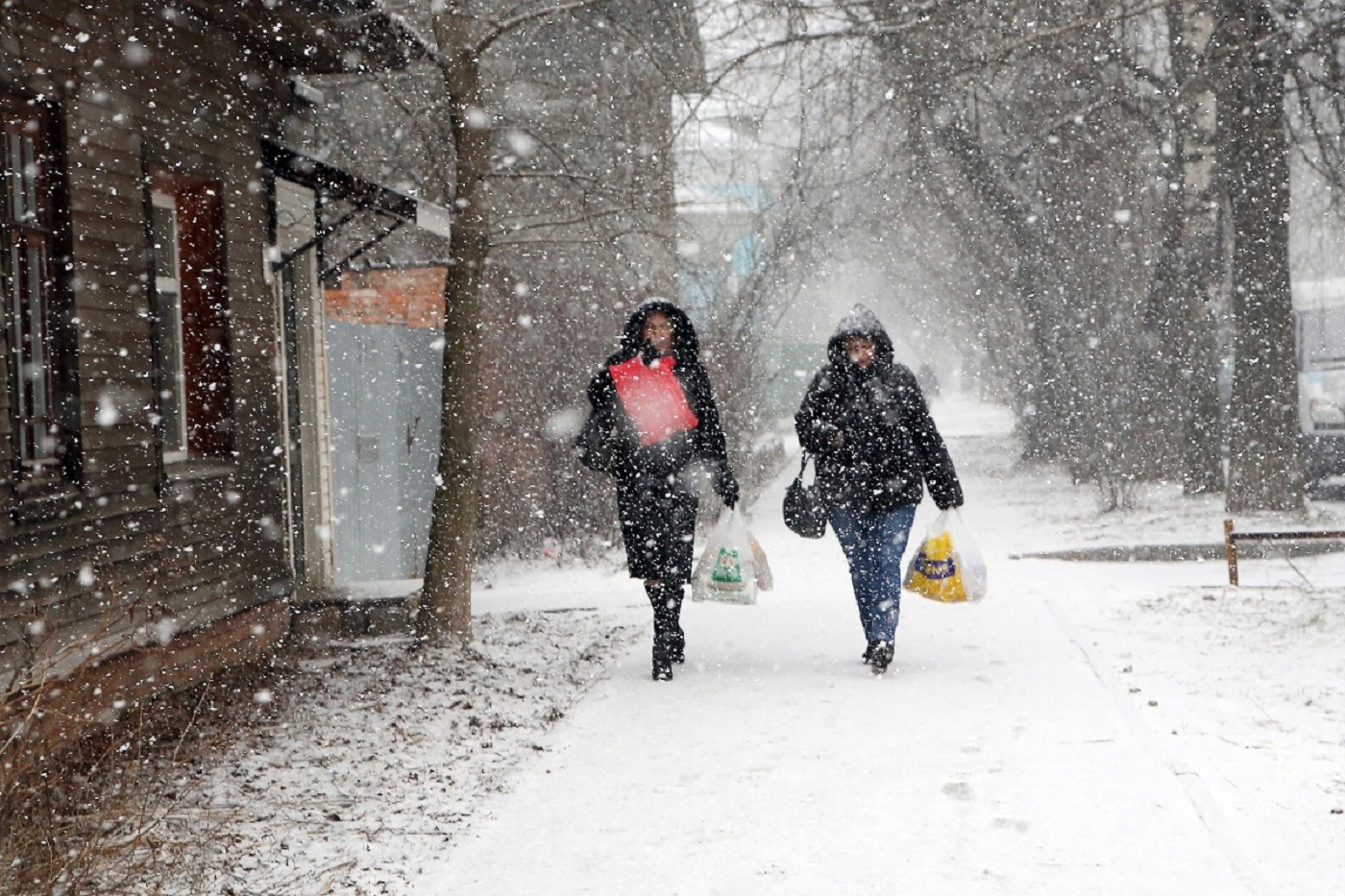 Георгий Филимонов распорядился поставить «в ружье» дорожные службы