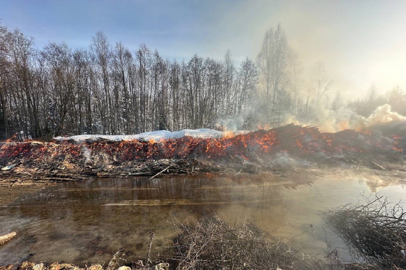 Крупную свалку отходов лесопиления спалили сегодня в Бабаевском округе