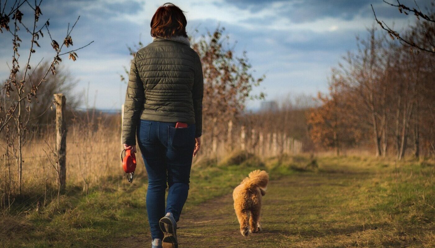 Маршрут построен: кинолог назвала главные ошибки владельцев при выгуле собак на улице