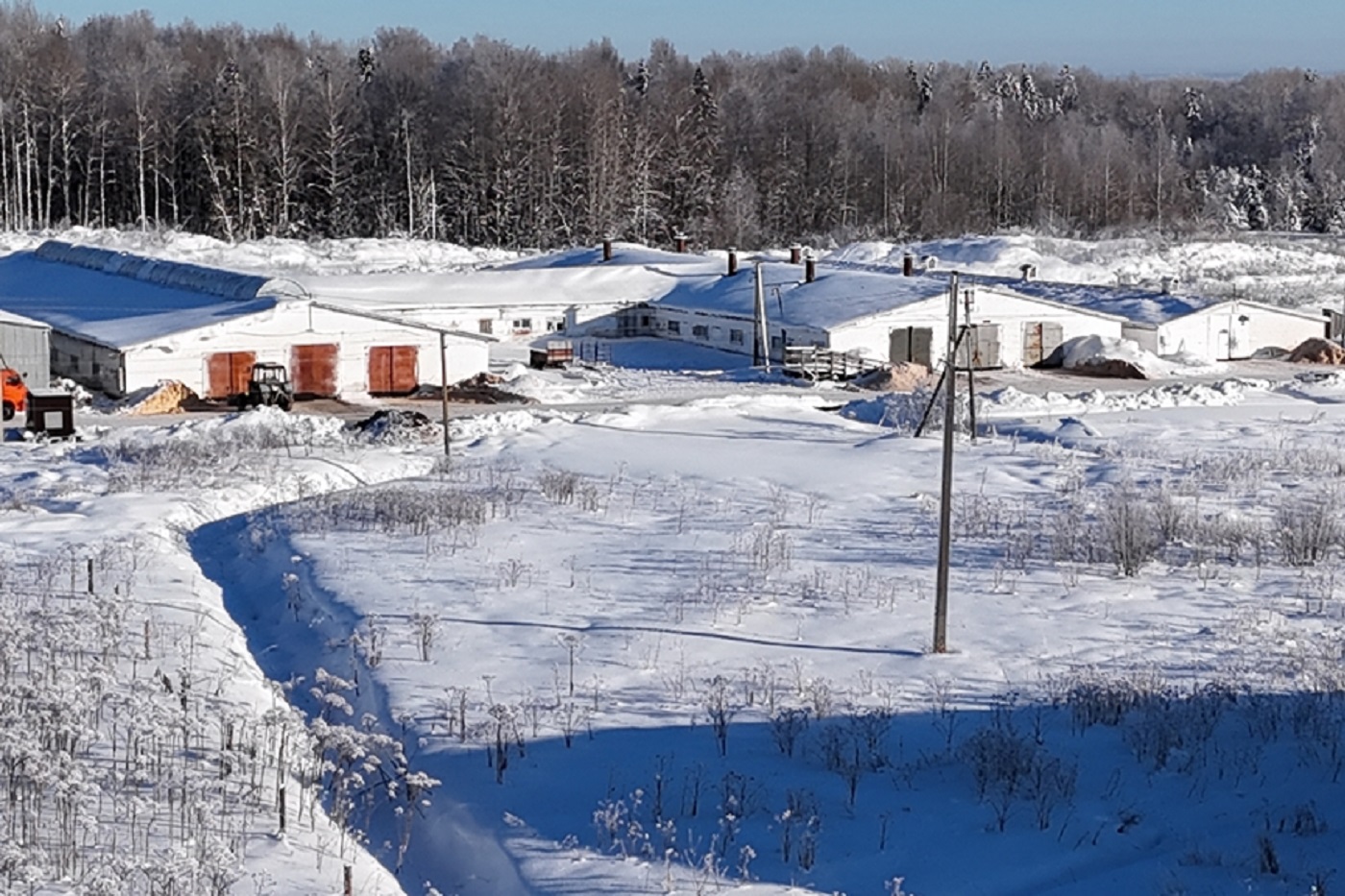 Дроны обнаружили нарушения закона в Вологодской области