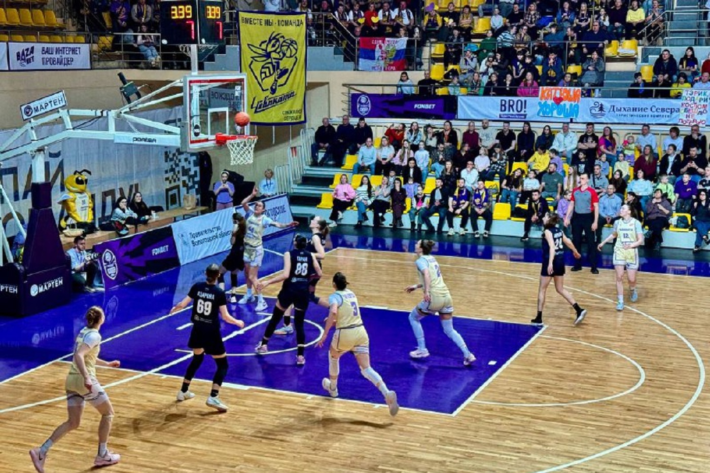 «Чеваката» с трудом удержала победу в матче с курским «Динамо Фарм»