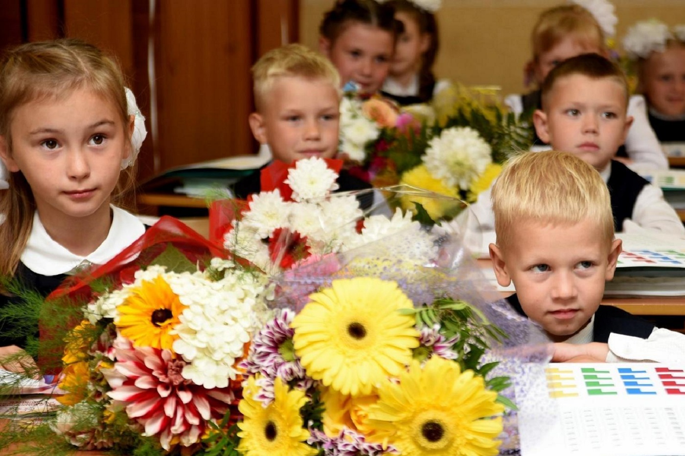 Заявления в первые классы начали принимать в Вологде