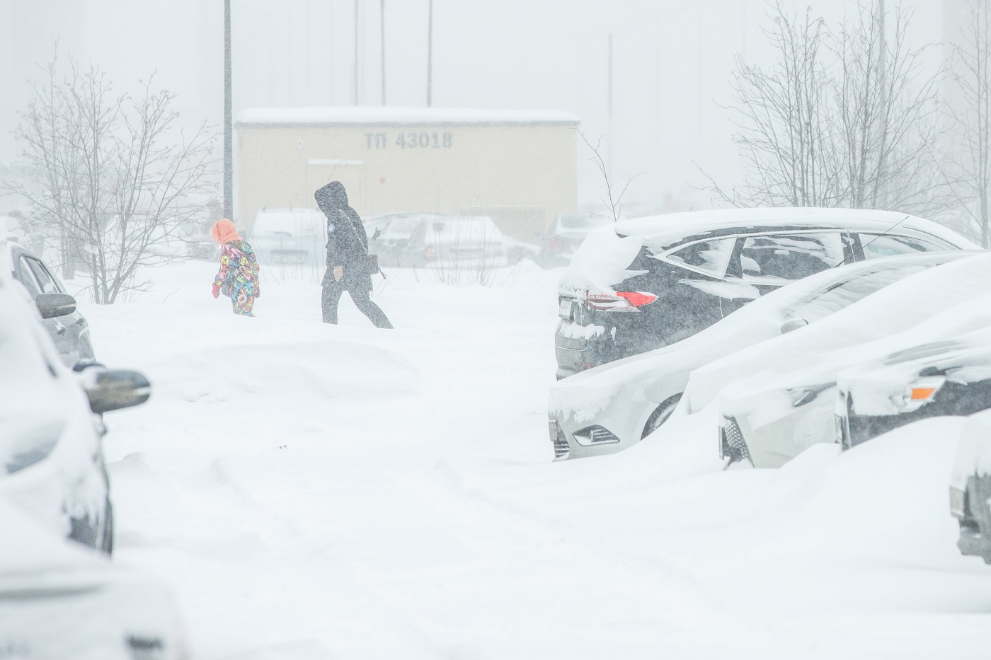 МЧС заявляет об ухудшении погодных условий в Вологодской области