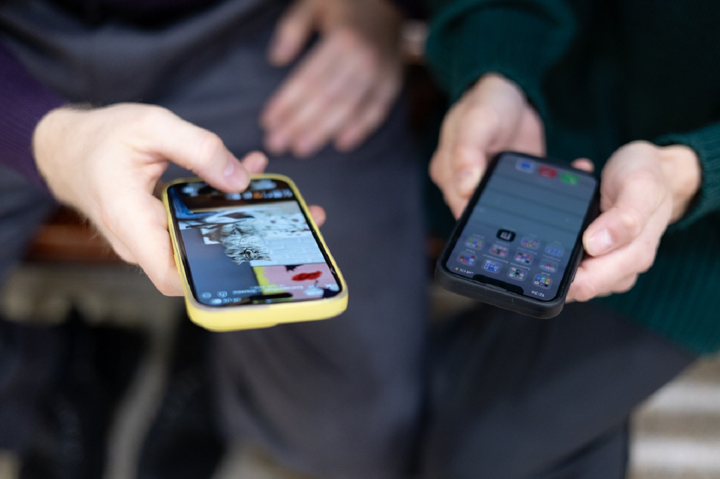 Вологодские мужчины готовились к 8 марта активнее, чем женщины к 23 февраля