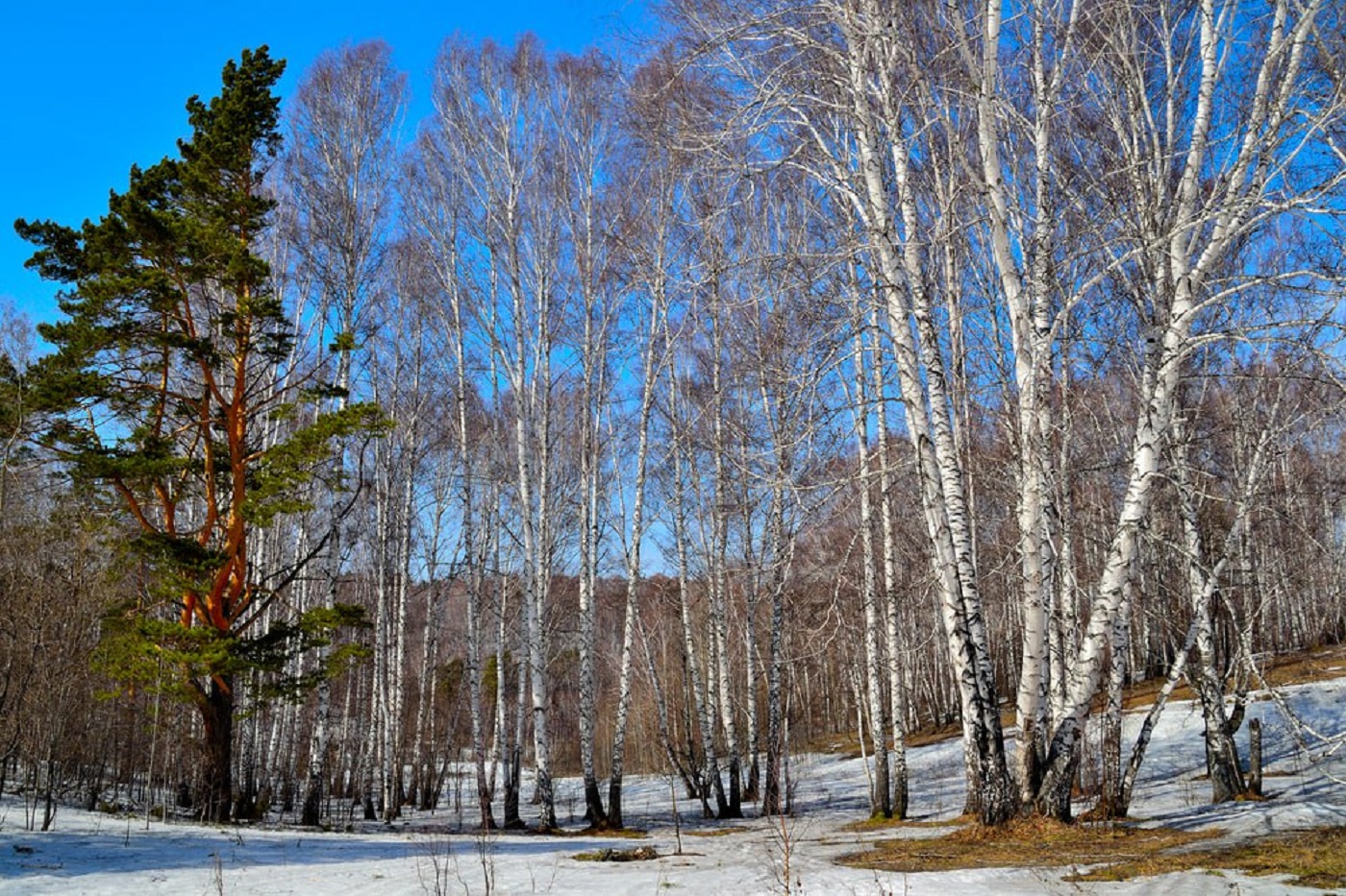 Синоптики дали неутешительный прогноз на март