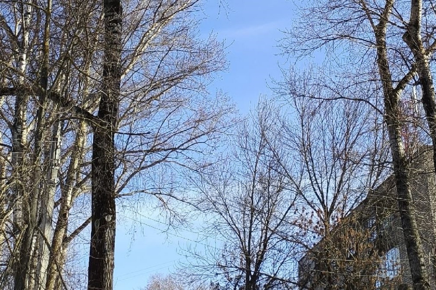 Вологодские синоптики заявили о начале астрономической весны