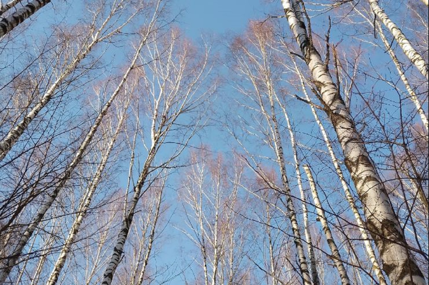 Синоптики обещают дожди в Вологодской области