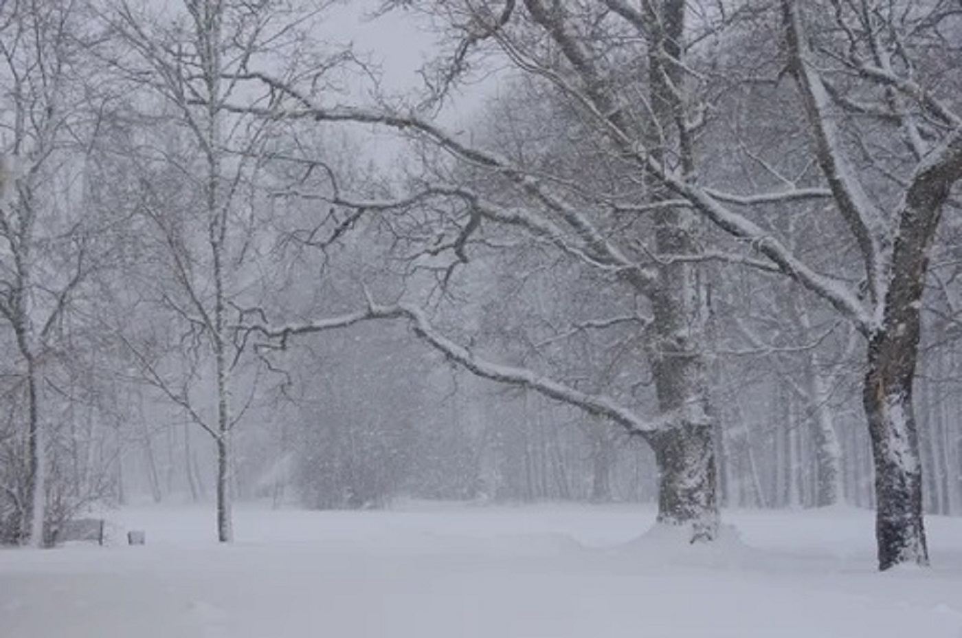 Синоптики рассказали о контрастной погоде в предстоящие выходные