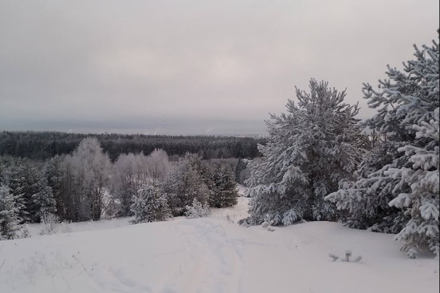 Резкое похолодание обещают вологодские синоптики на предстоящей неделе