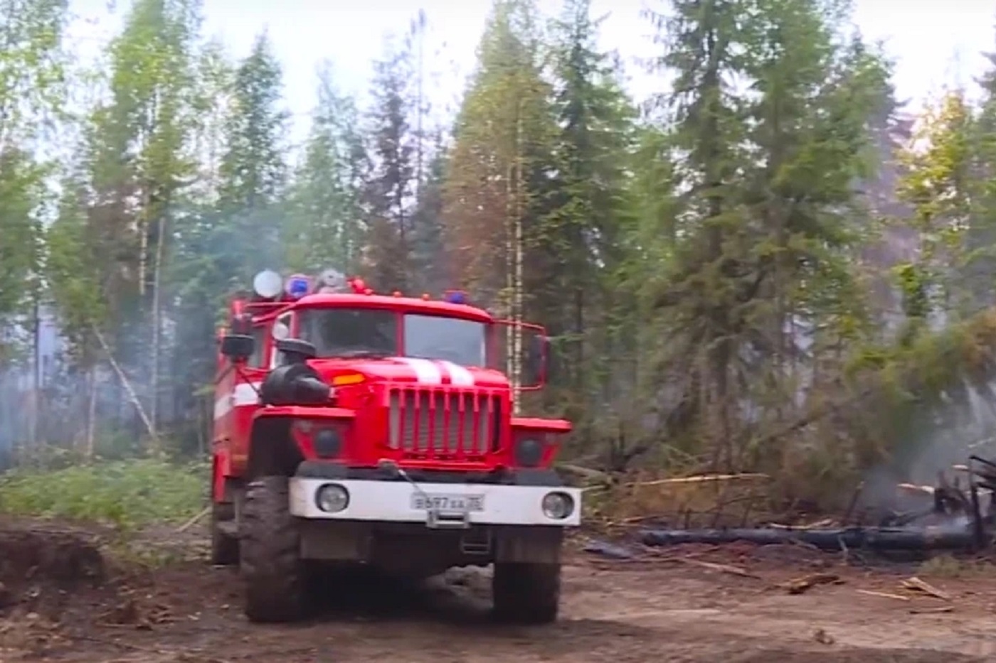 Региональное МЧС заявило о старте периода повышенной пожарной опасности