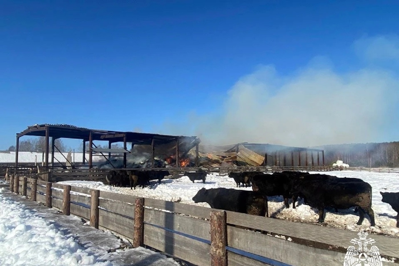 Под Тарногой сгорело 150 тонн сена