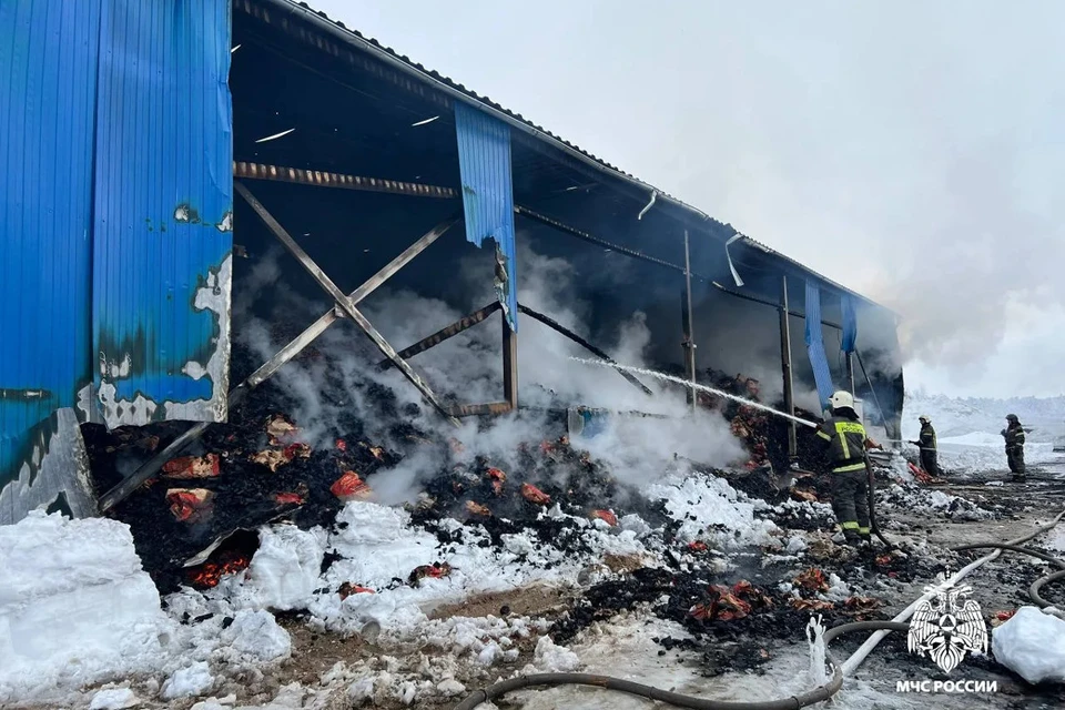 В Вологде на Окружном шоссе сгорел склад с углем