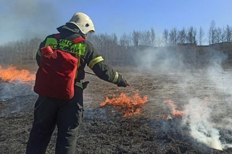Массовые палы сухой травы зафиксированы в Вологодской области