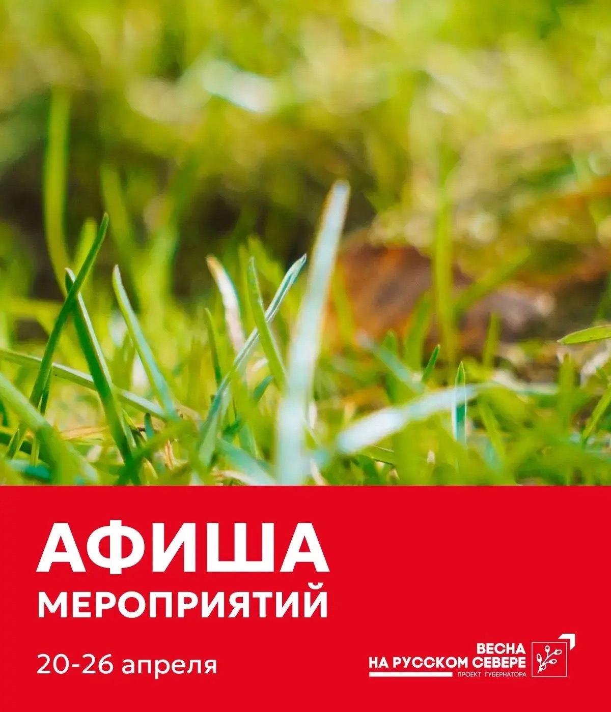 В Вологде представили афишу мероприятий на неделю