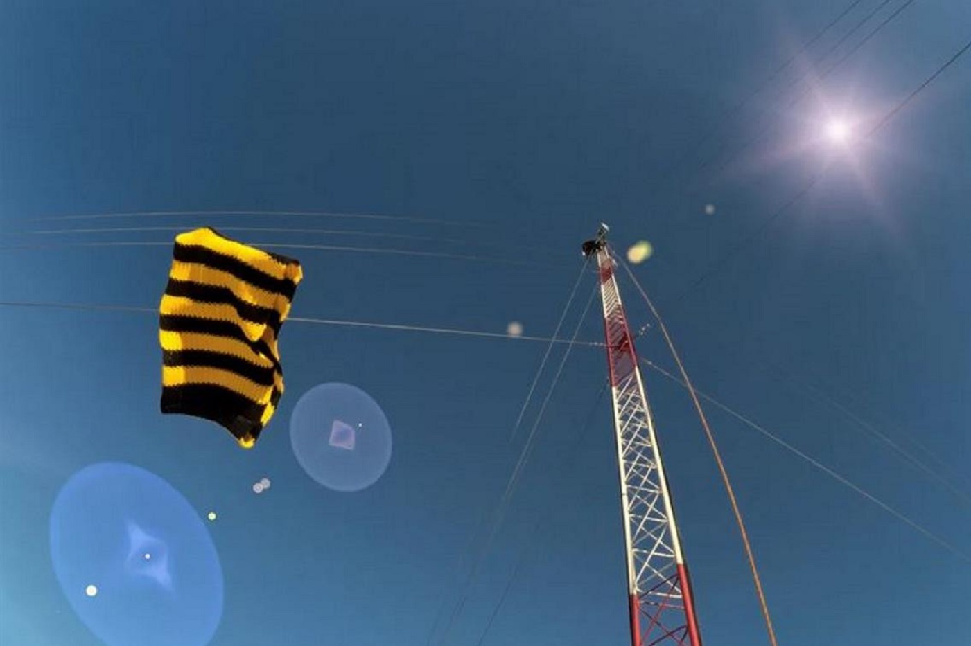 Билайн обеспечил усиленный сигнал 4G во всех районах Вологодской области