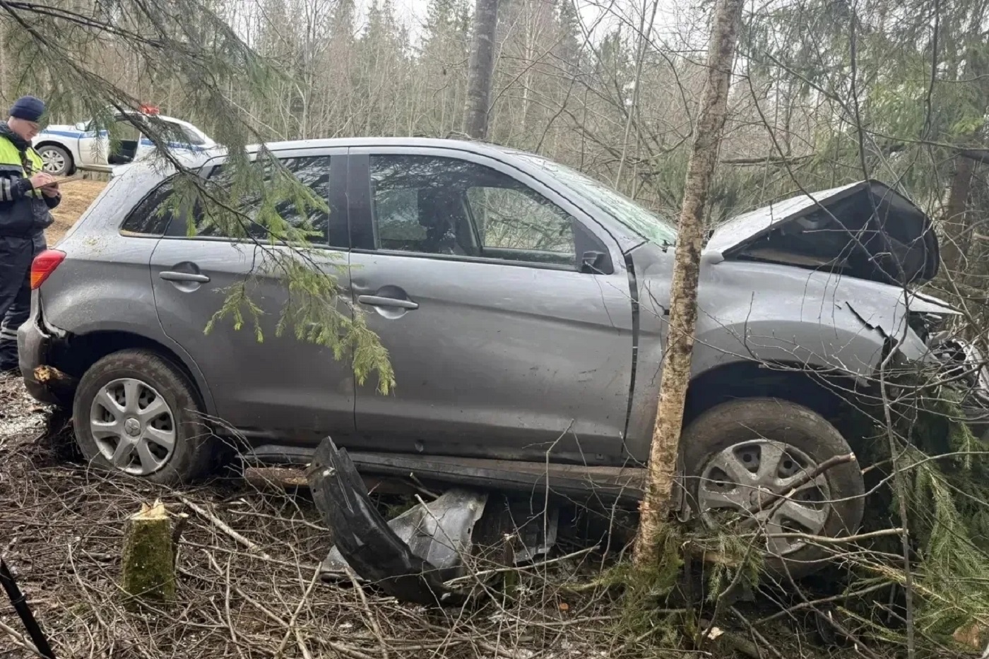 Иномарка улетела в кювет под Соколом