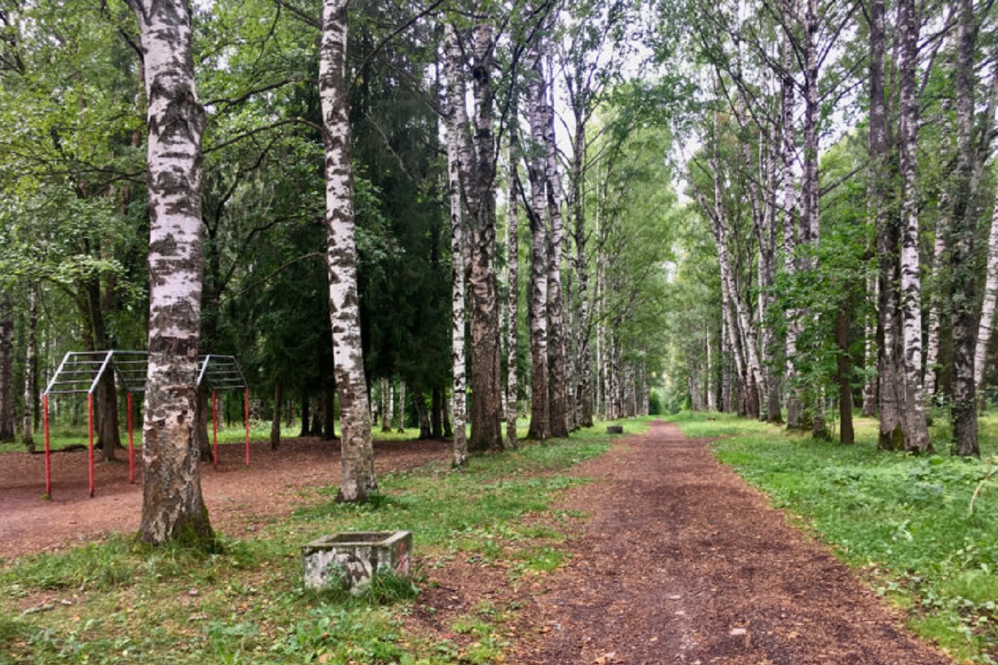Вологжанам предлагают проголосовать за объекты благоустройства в 2027 году