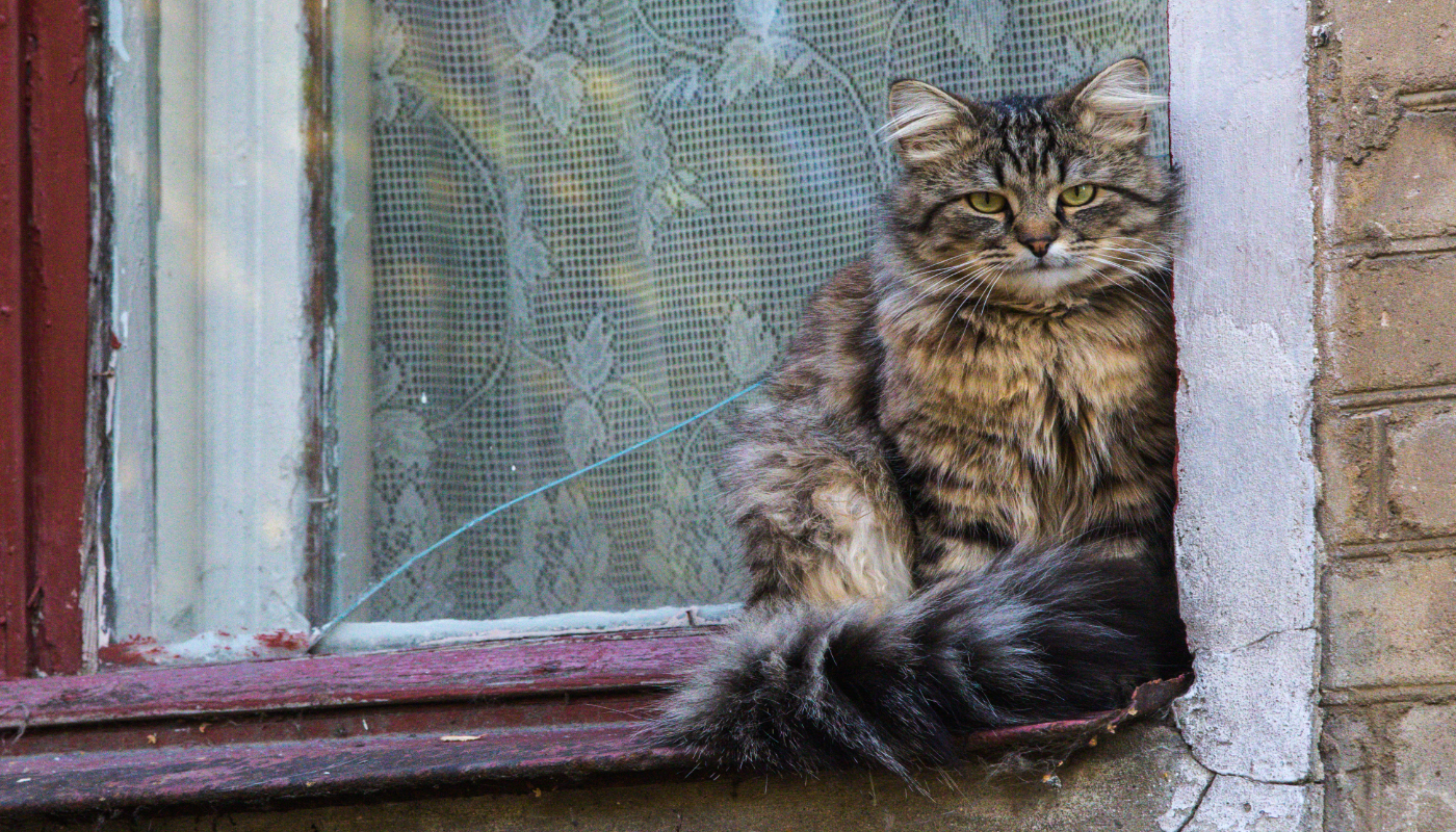 Федулов день 18 апреля: народные приметы и запреты для сохранения благополучия в доме