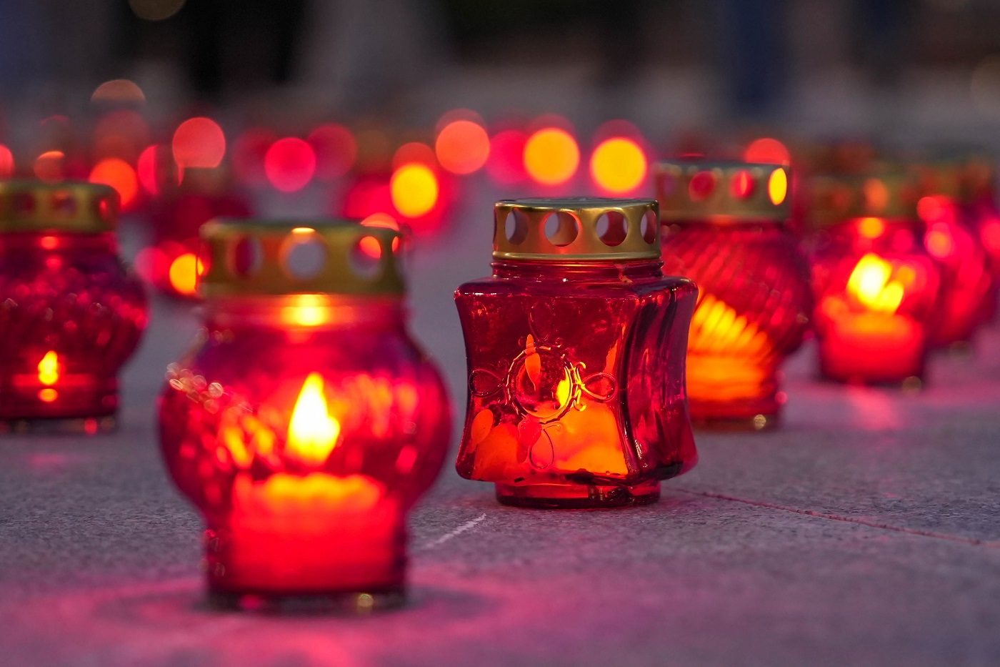 Вологжане выложат огненную картину войны