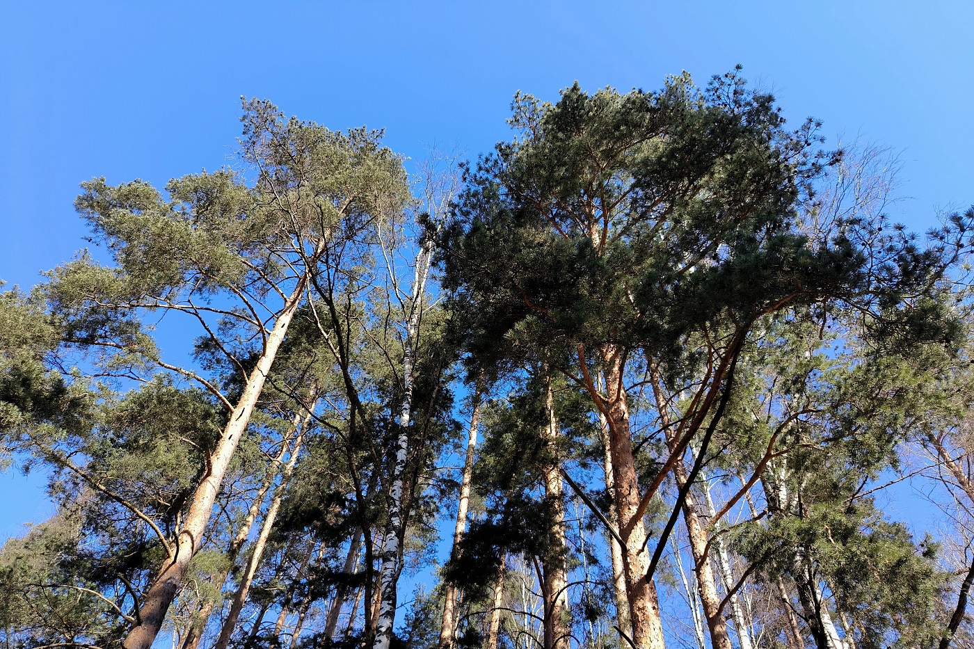 В Череповце будут судить тракториста за гибель напарника