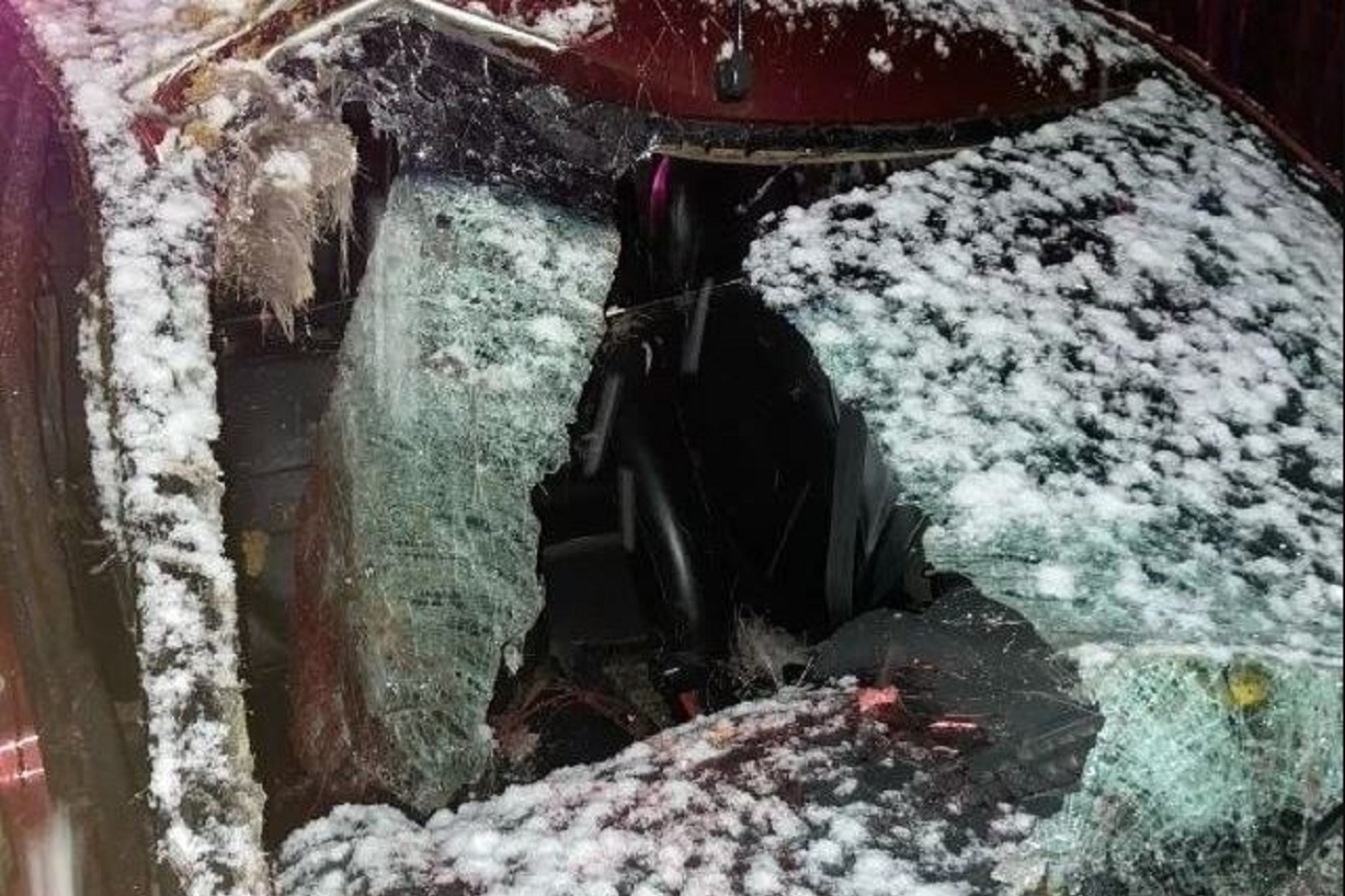 Отечественная «Лада» сбила лося под Никольском