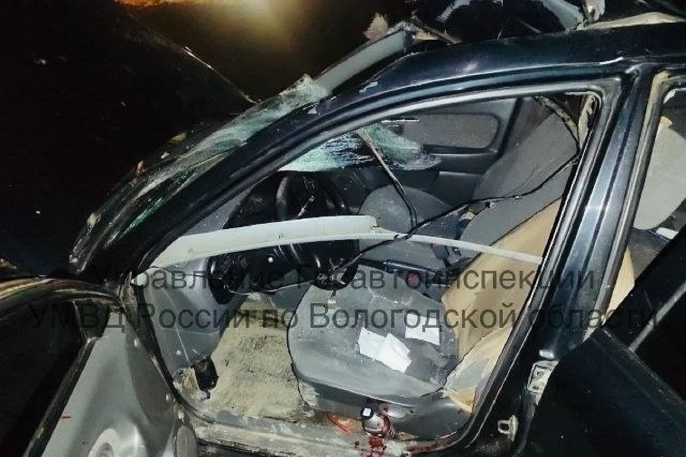 Иномарка сбила лося под Череповцом