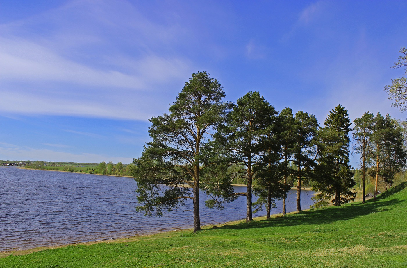 Под Ферапонтовом разобьют парк почти за 15 млн рублей