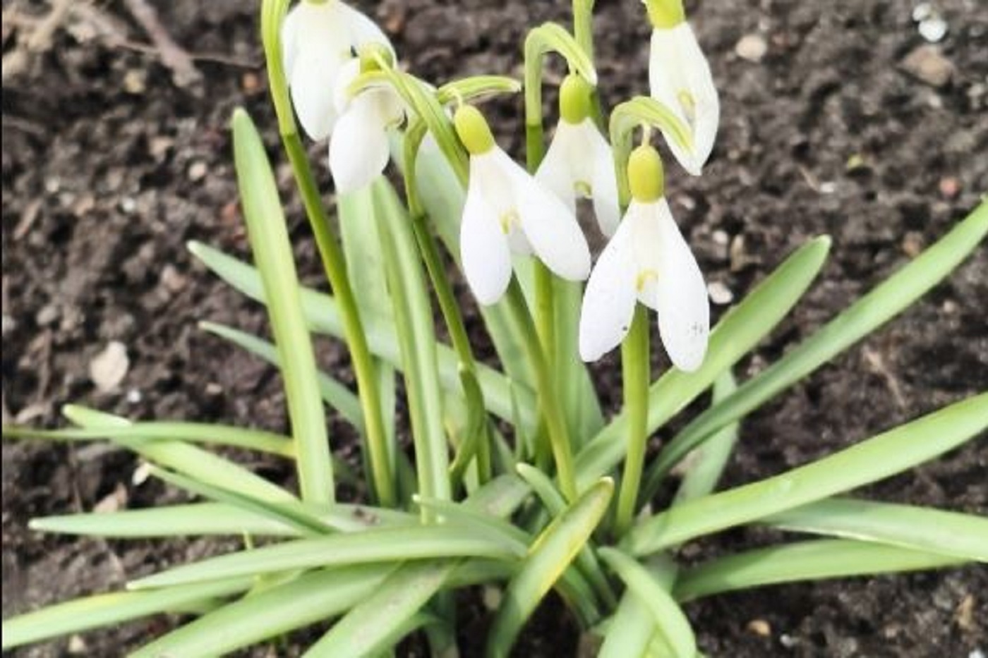 Погоду на текущей неделе будет определять антициклон