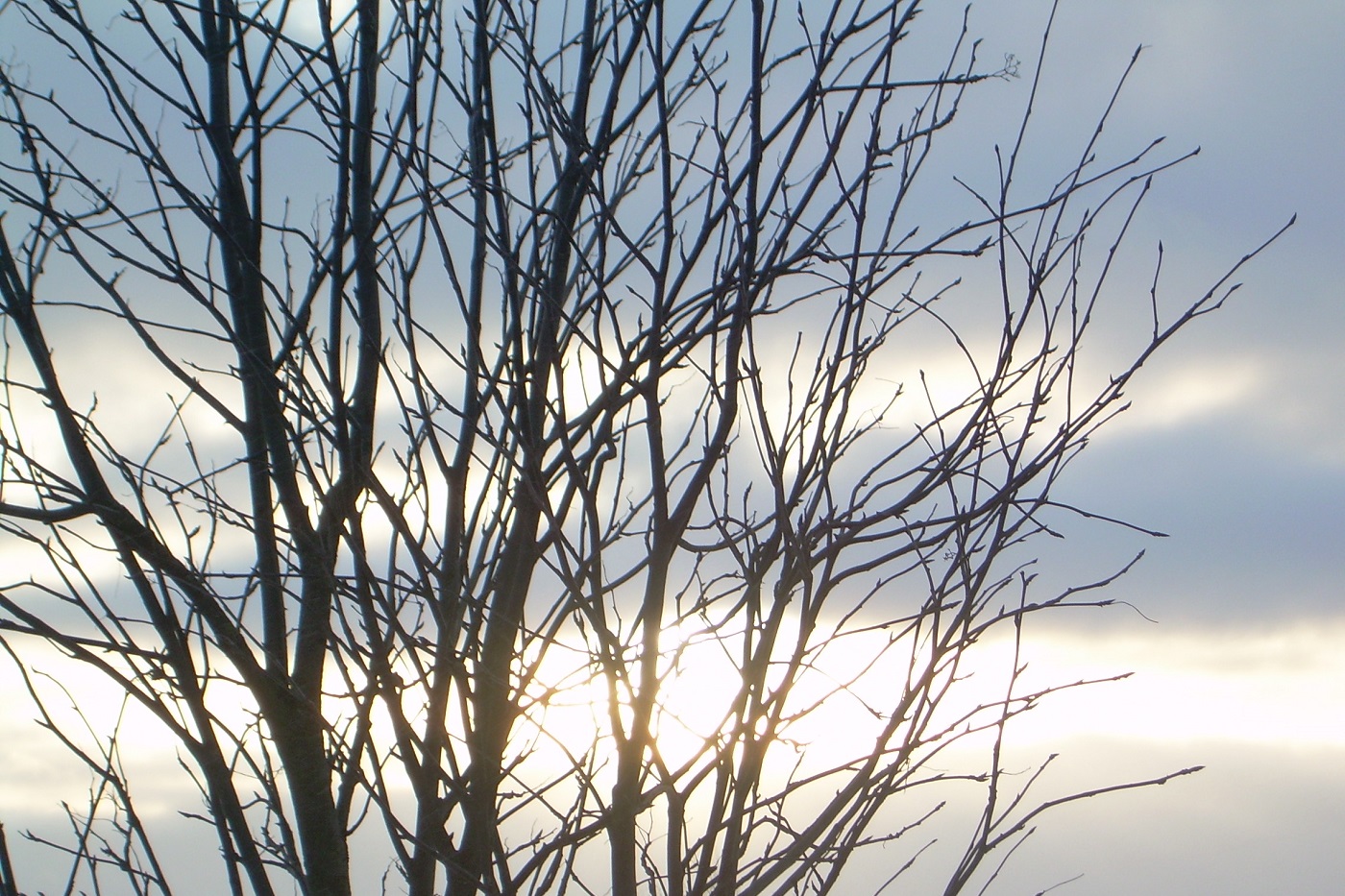 Вологодские синоптики обещают долгожданное потепление