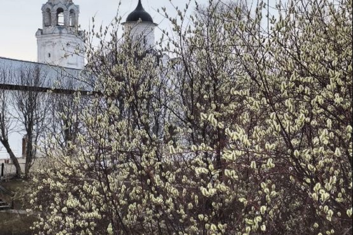 Дожди и похолодание придут на смену солнечному антициклону