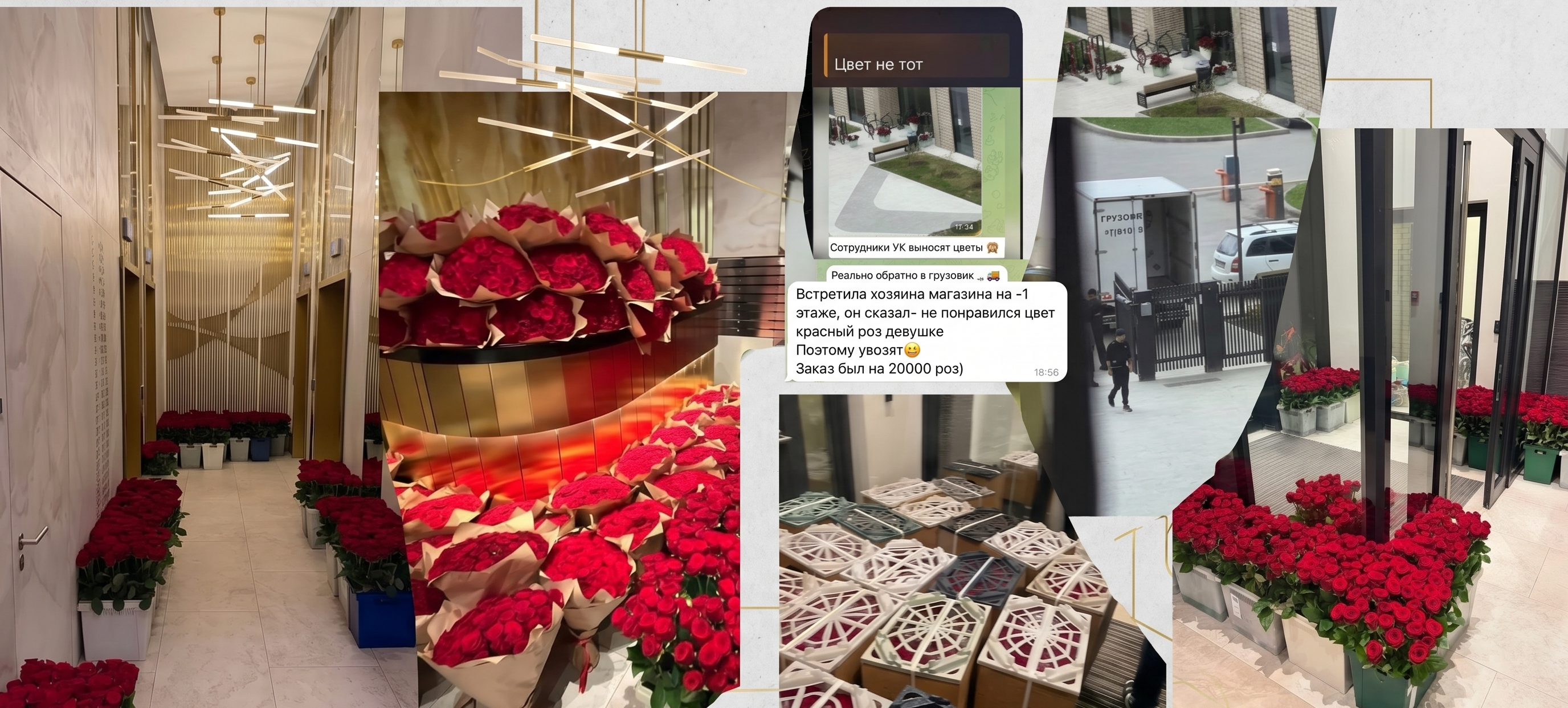 Алые розы на 70 миллионов поехали на свалку: девушка отвергла море цветов