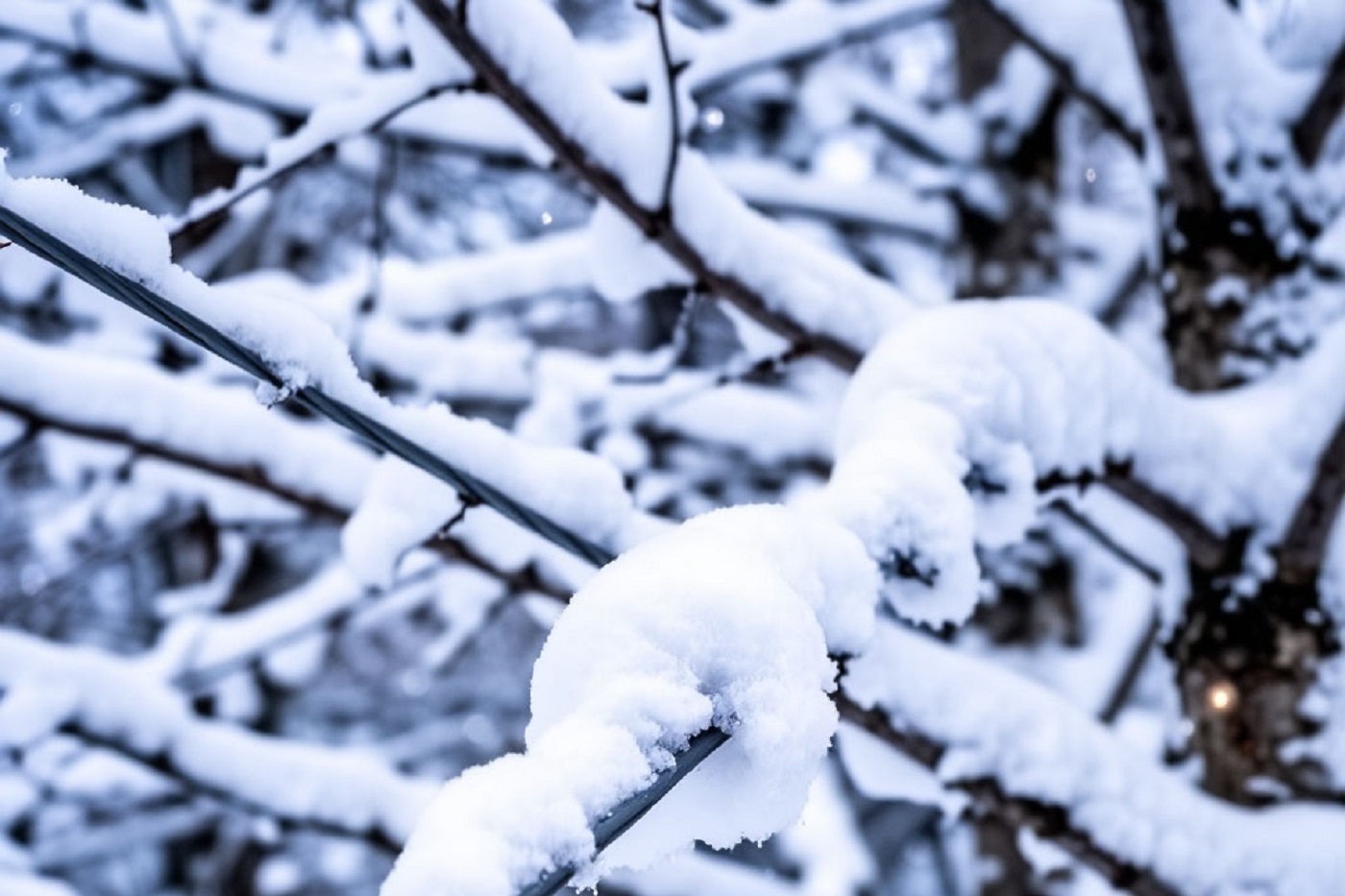 Вологодские синоптики предупреждают о сильном снегопаде