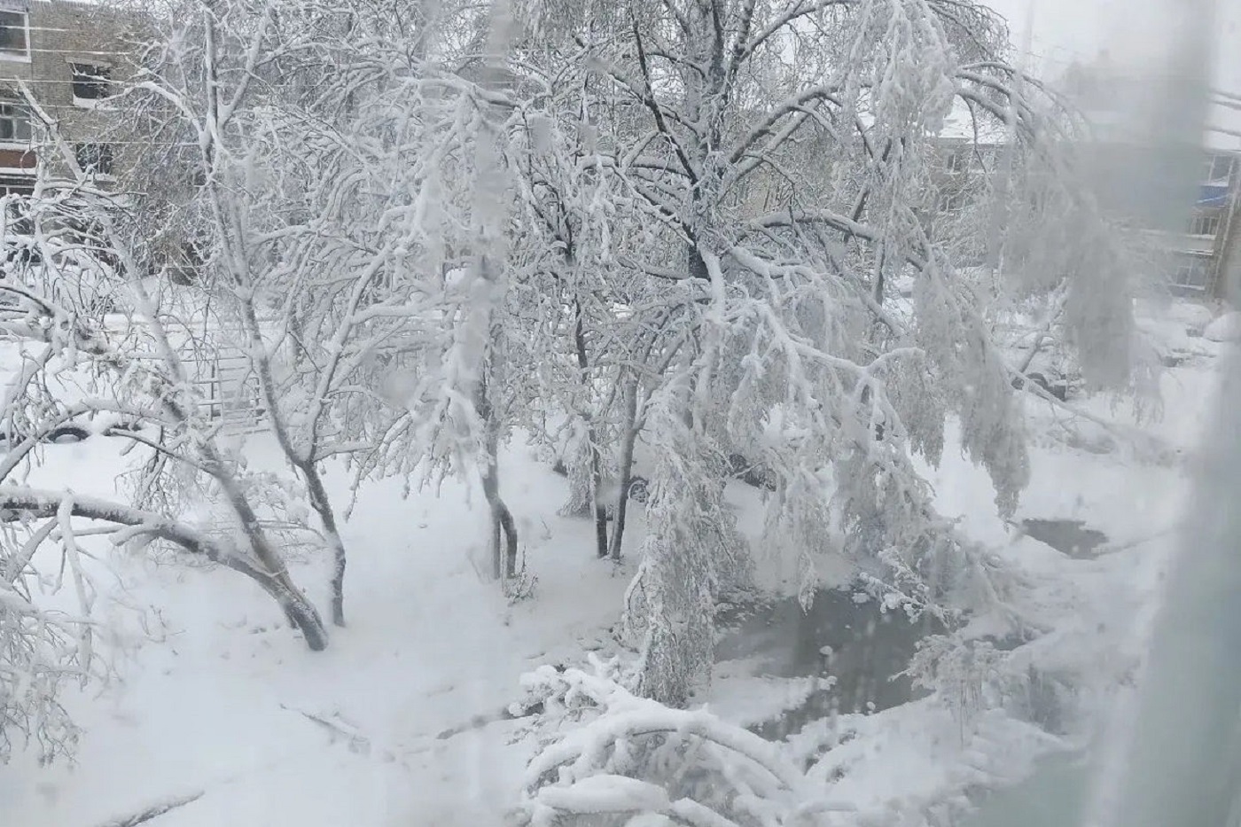 Россети» восстановили электроснабжение у 60% потребителей