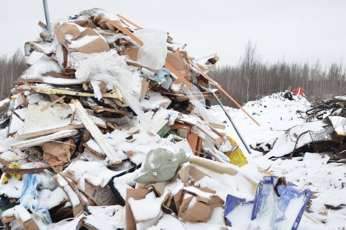 В Вологде раскрыто убийство младенца, совершенное 7 лет назад