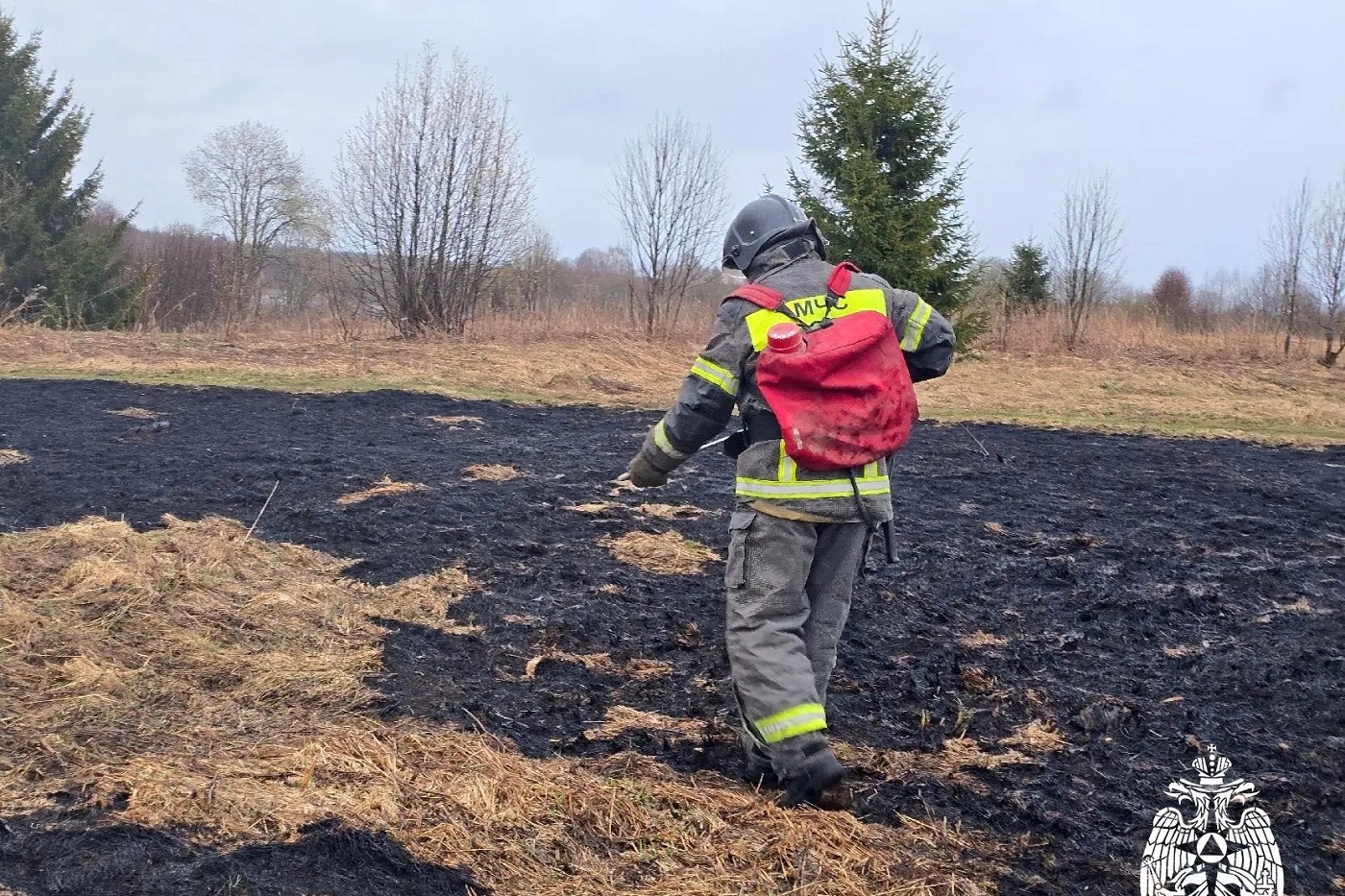 Двое устюжан попались на сжигании мусора