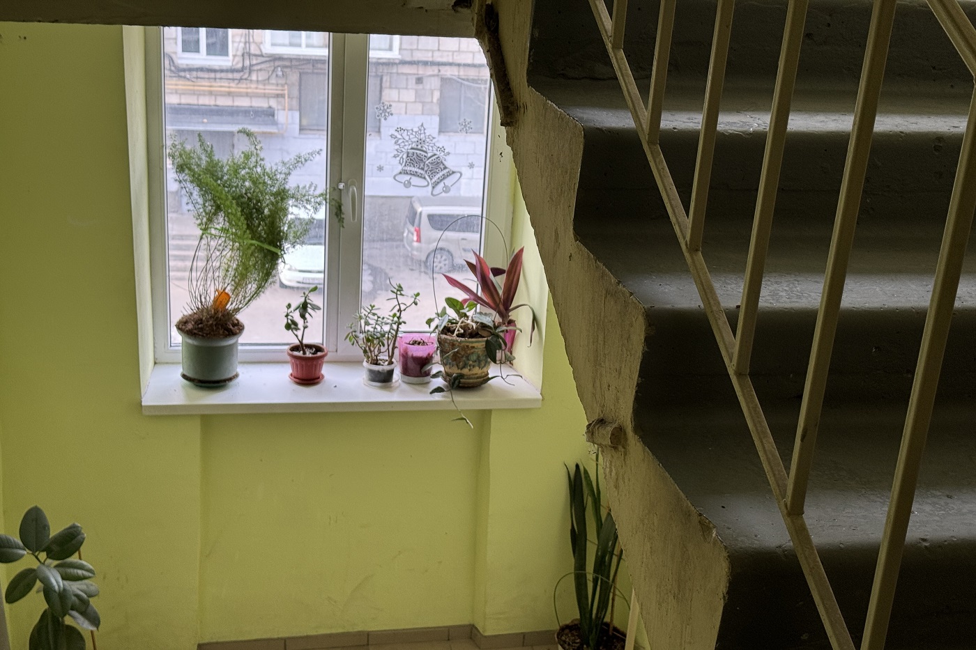 Семь управляющих компаний Вологодской области могут остаться без лицензии