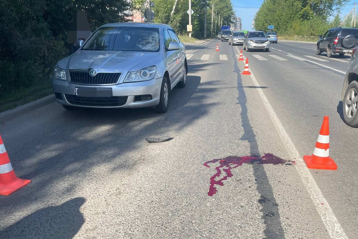 В Вологде будут судить водителя, сбившего насмерть пешехода на «зебре»
