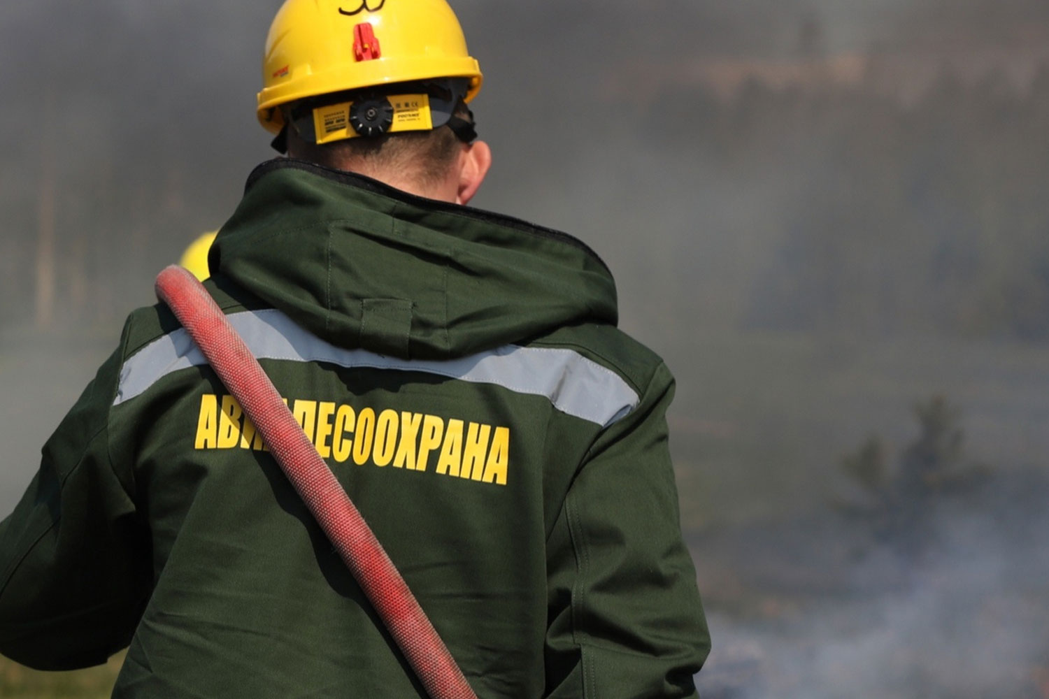 Вытегорский округ примет масштабные учения по борьбе с лесными пожарами