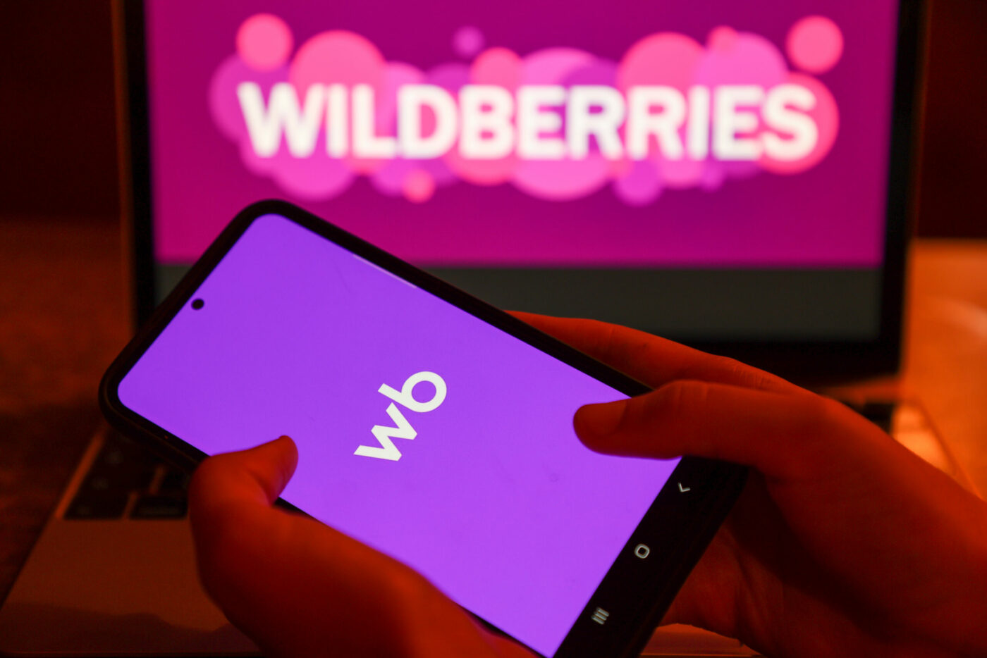 В России началась поэтапная национализация Wildberries