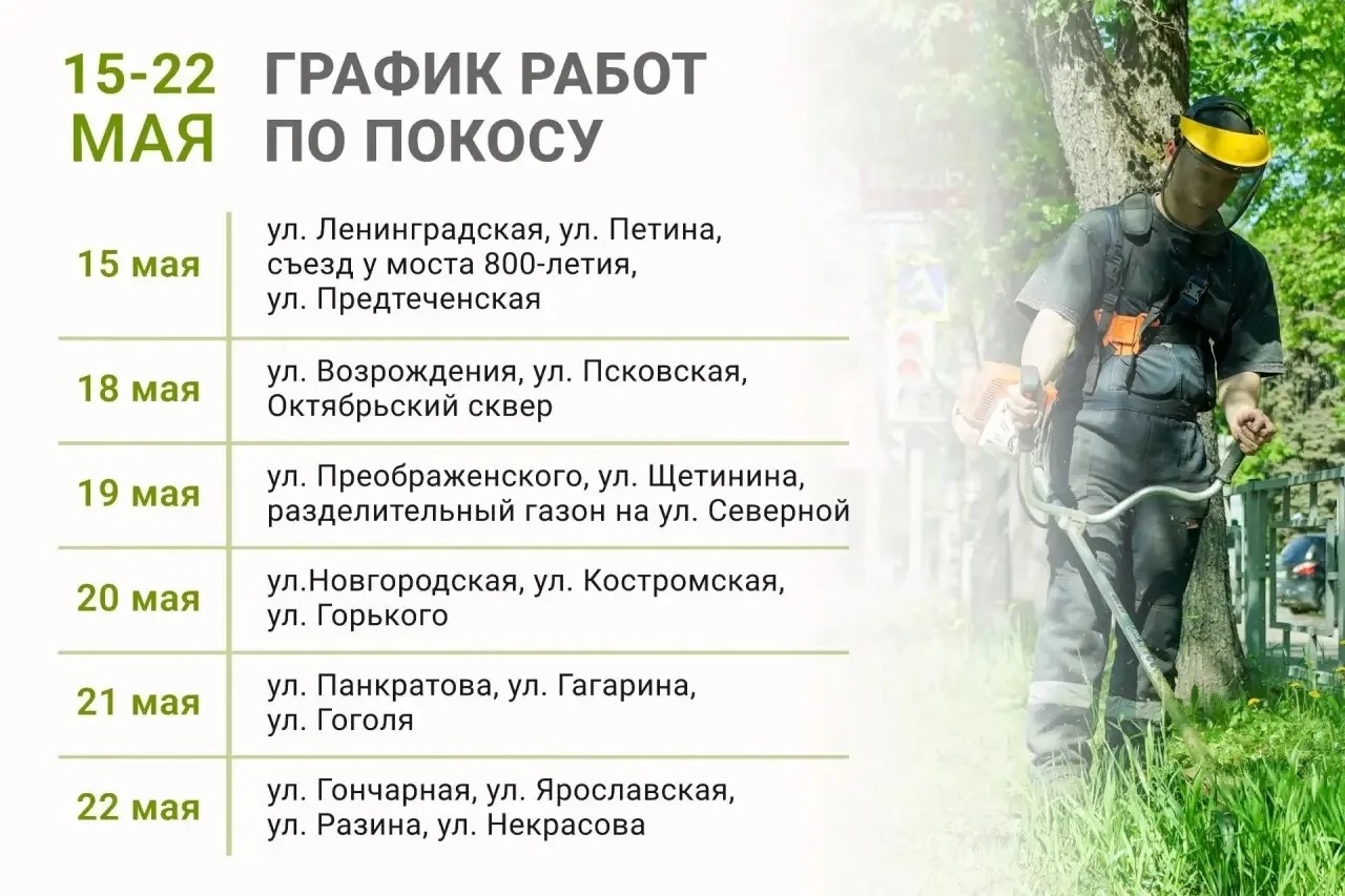 Жителям Вологды показали график покоса травы