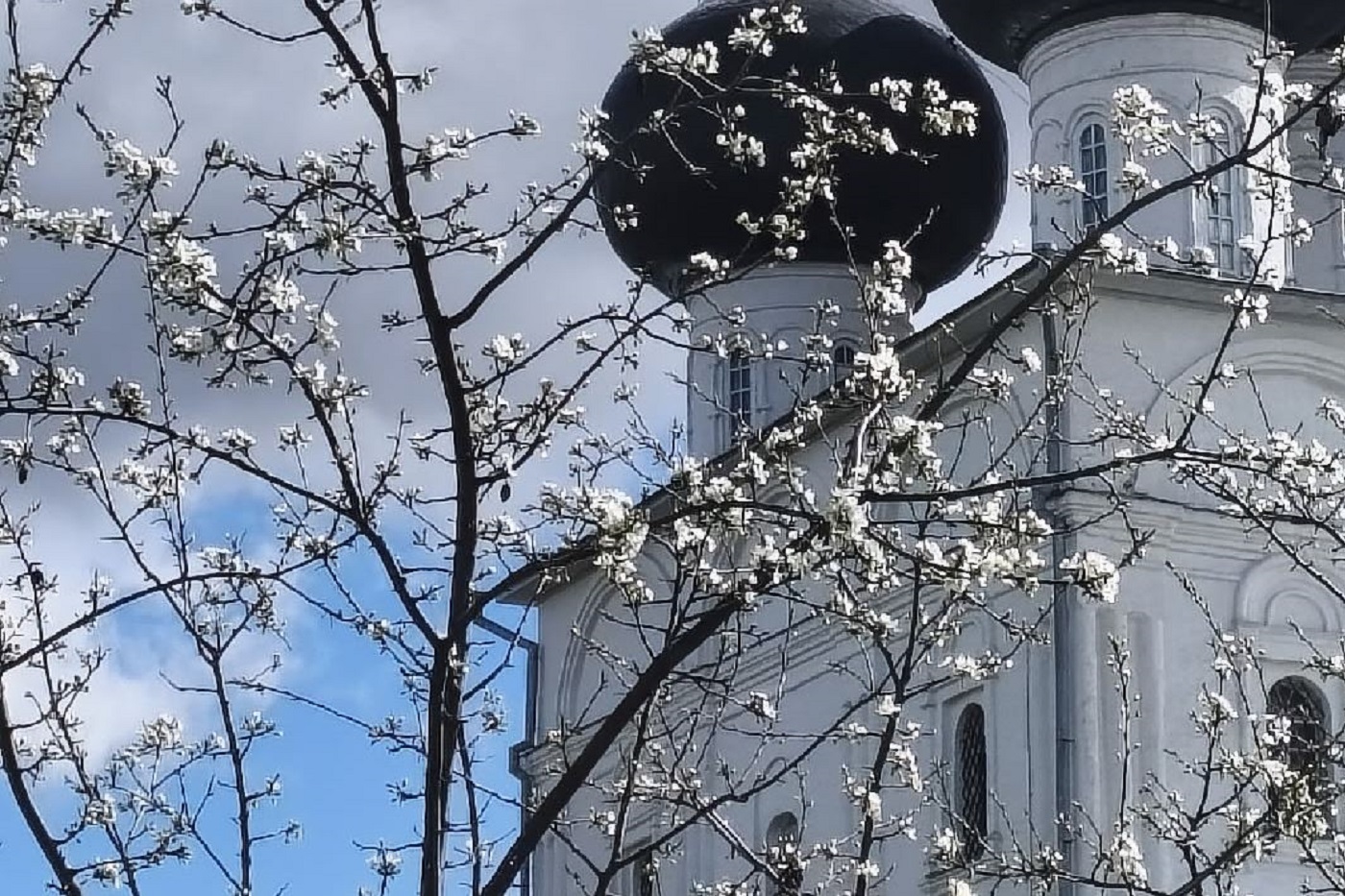 В Вологодскую область придут аномальное тепло и грозы